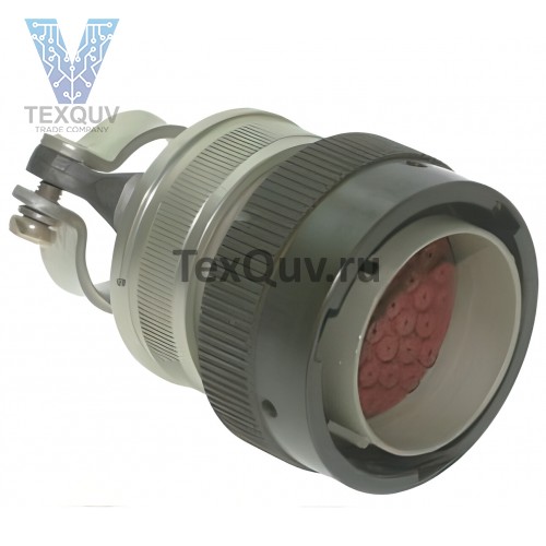 Розетка СНЦ23-19/22Р-2-а-В (2016г)